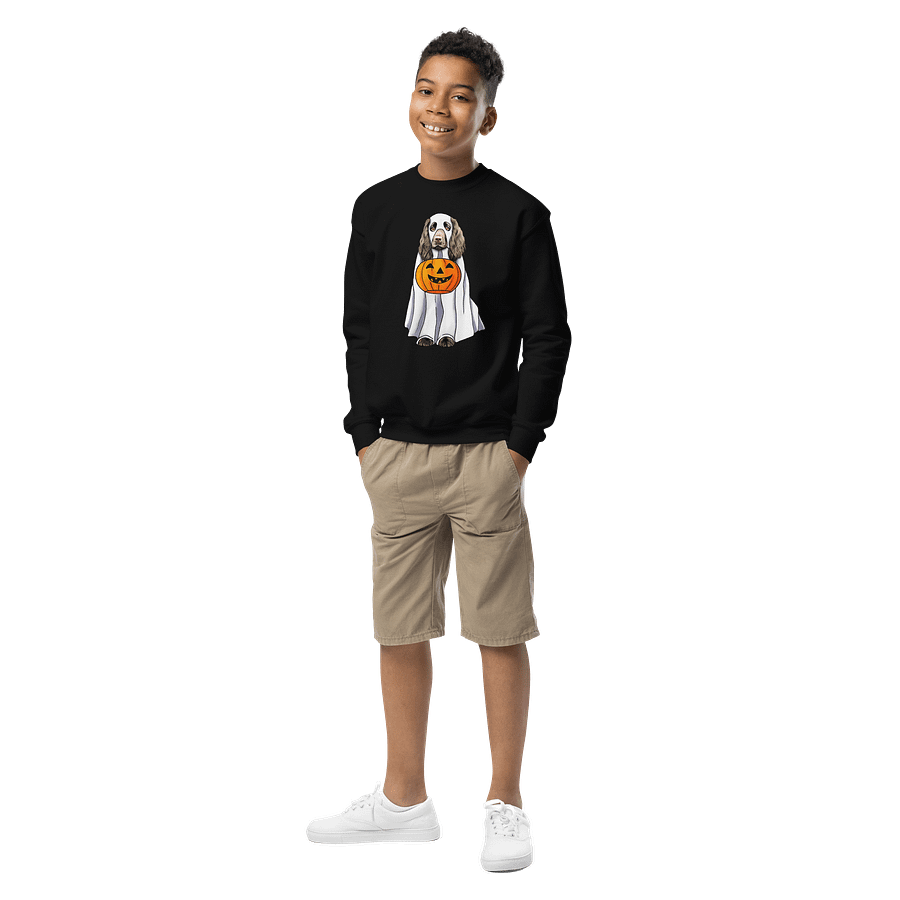 Halloween Boykin Spaniel Youth Sweatshirt product image (2)