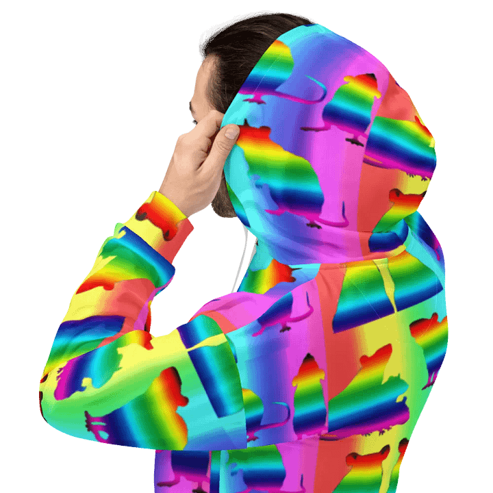 Rainbowed rats hoody product image (2)