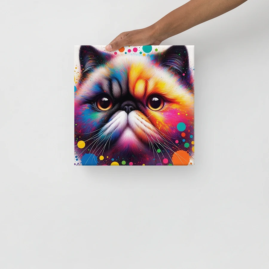 Canvas (in): Exotic Shorthair product image (13)