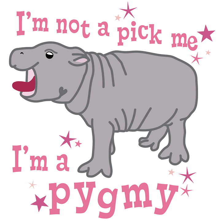 I'm a Pygmy Sticker | Moo Deng Inspired Merch product image (1)