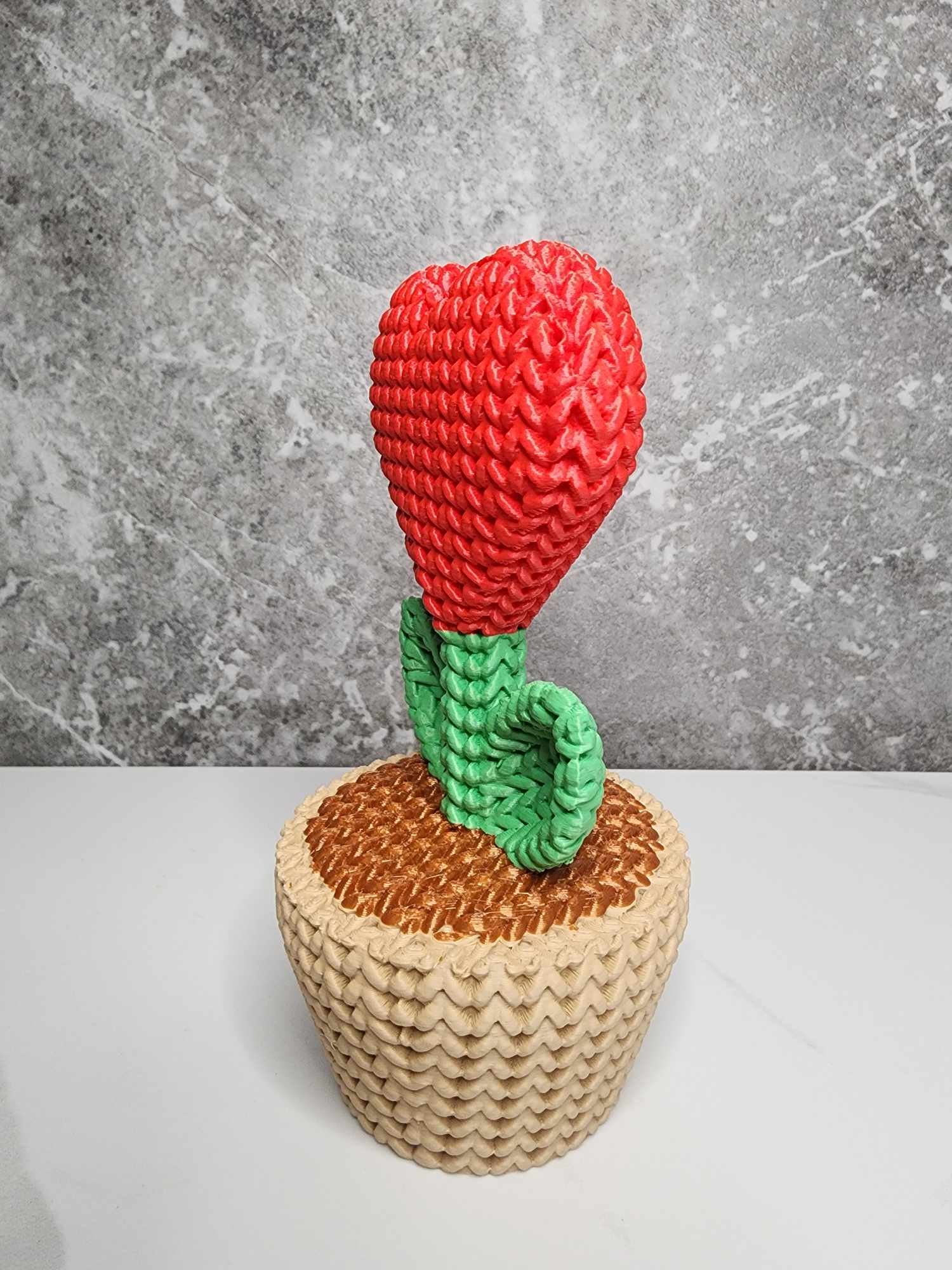 "Knitted" Heart Plant in a Pot product image (3)