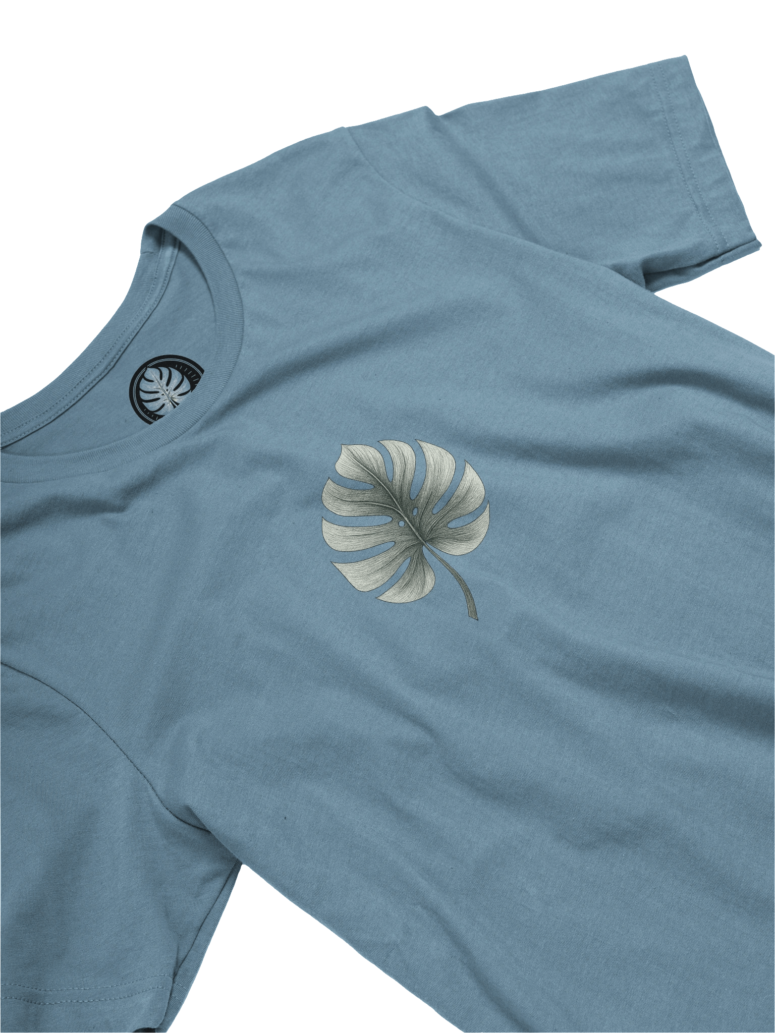 Monstera Stay Curious reverse design product image (14)