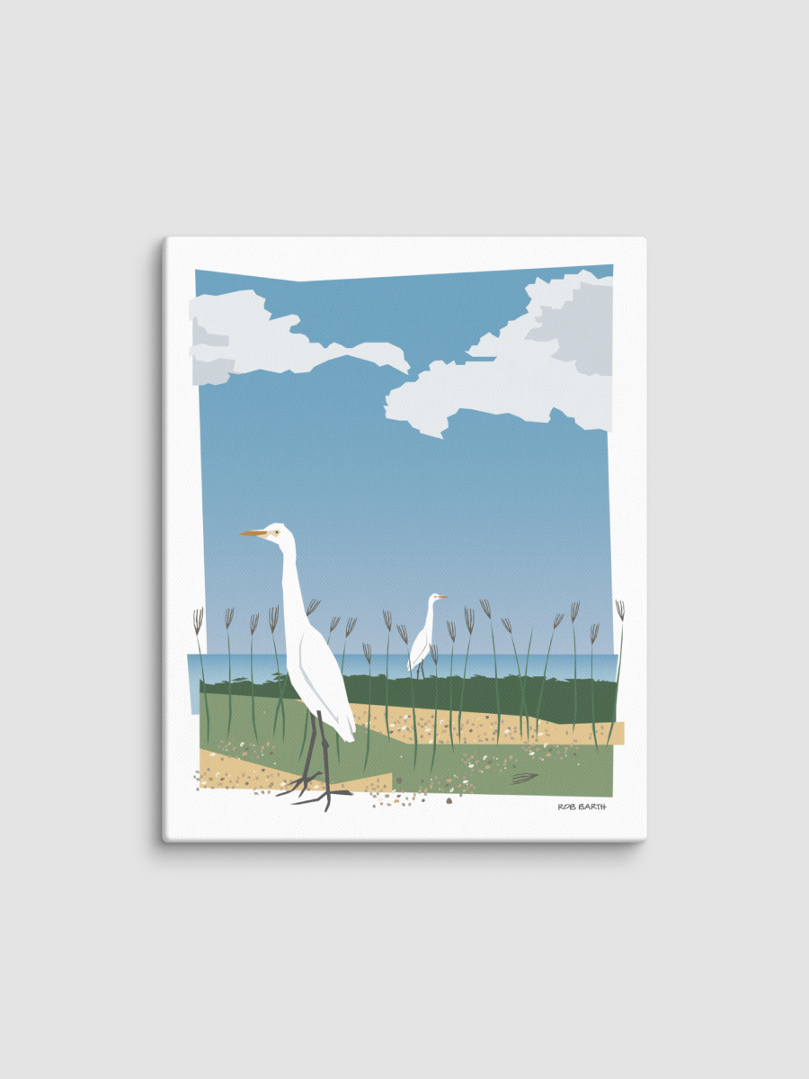 Cattle Egrets product image (1)
