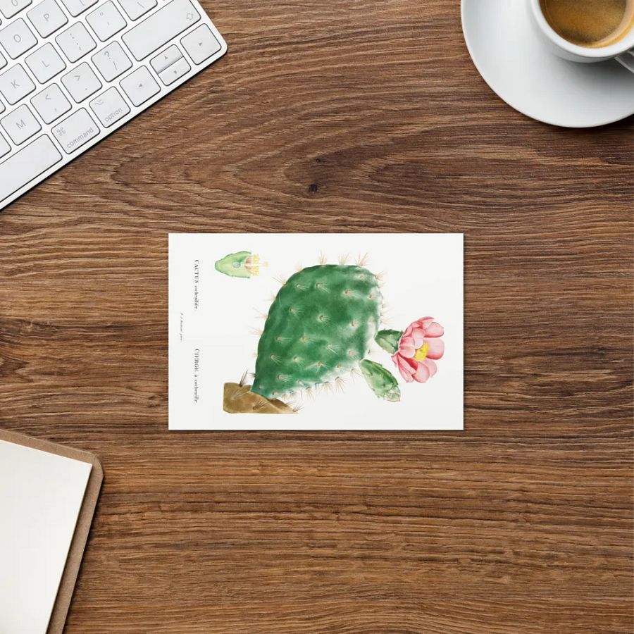 Blooming Desert Greetings product image (11)