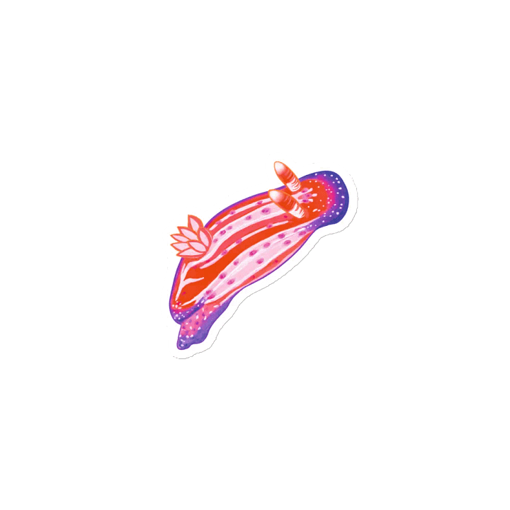 Sea Slugs: Set 1, Hypselodoris Maculosa - Magnet product image (1)