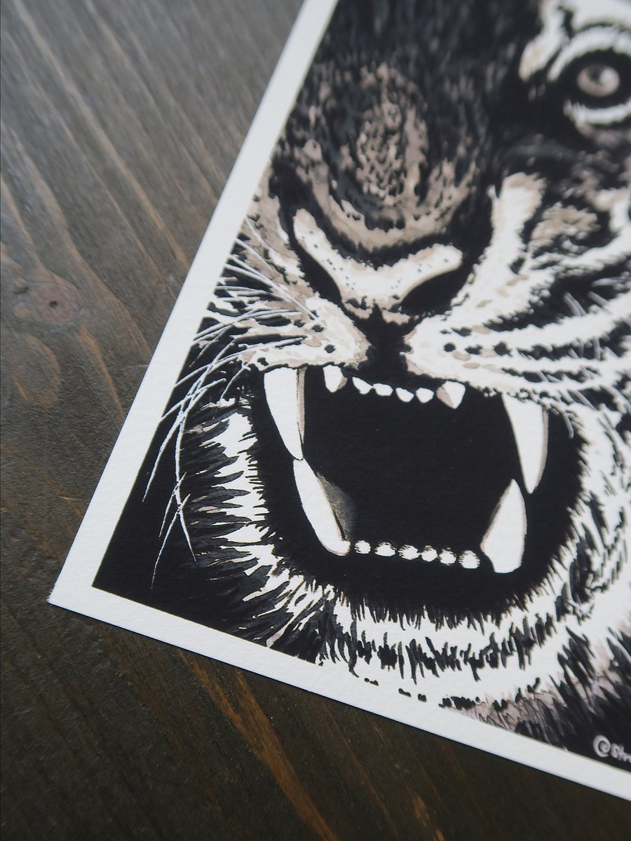 print : tiger product image (2)