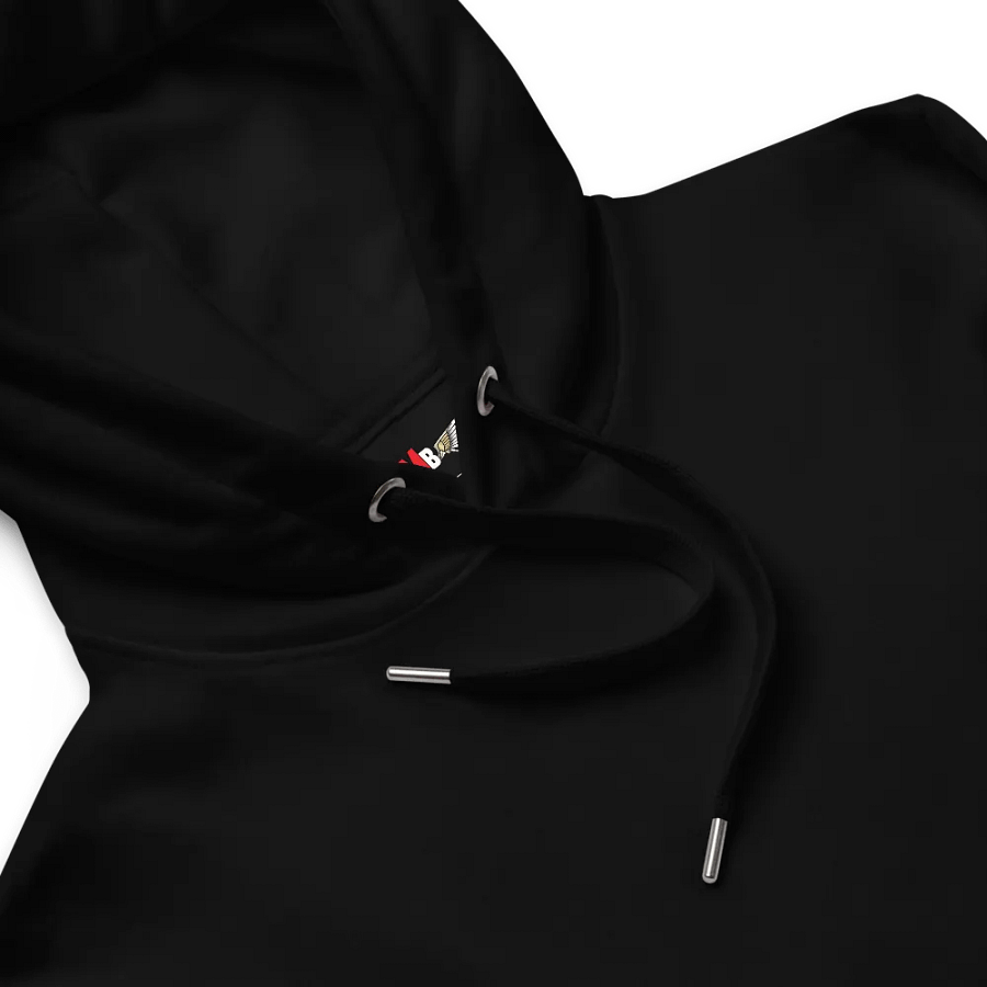 TeamBMB Organic Hoodie product image (13)