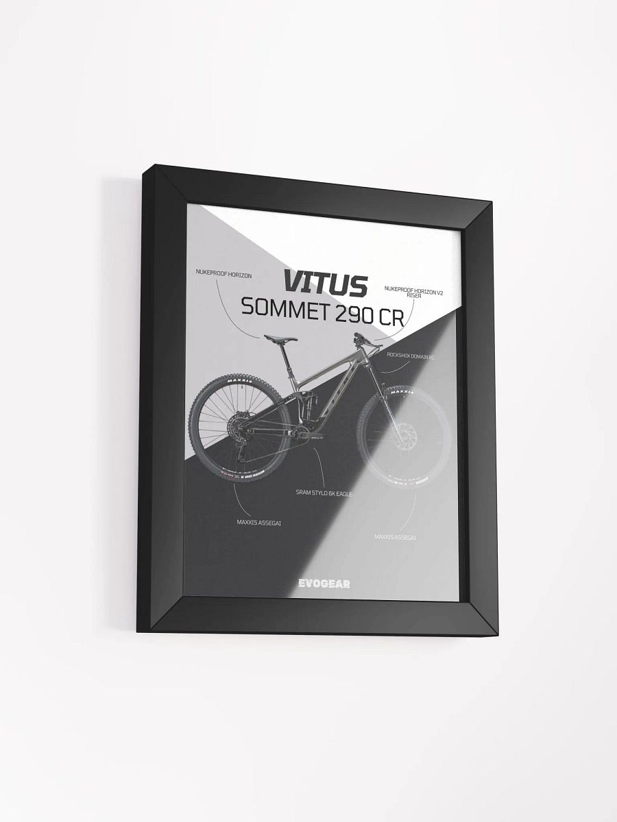 Vitus Sommet 290 CR Frame product image (9)