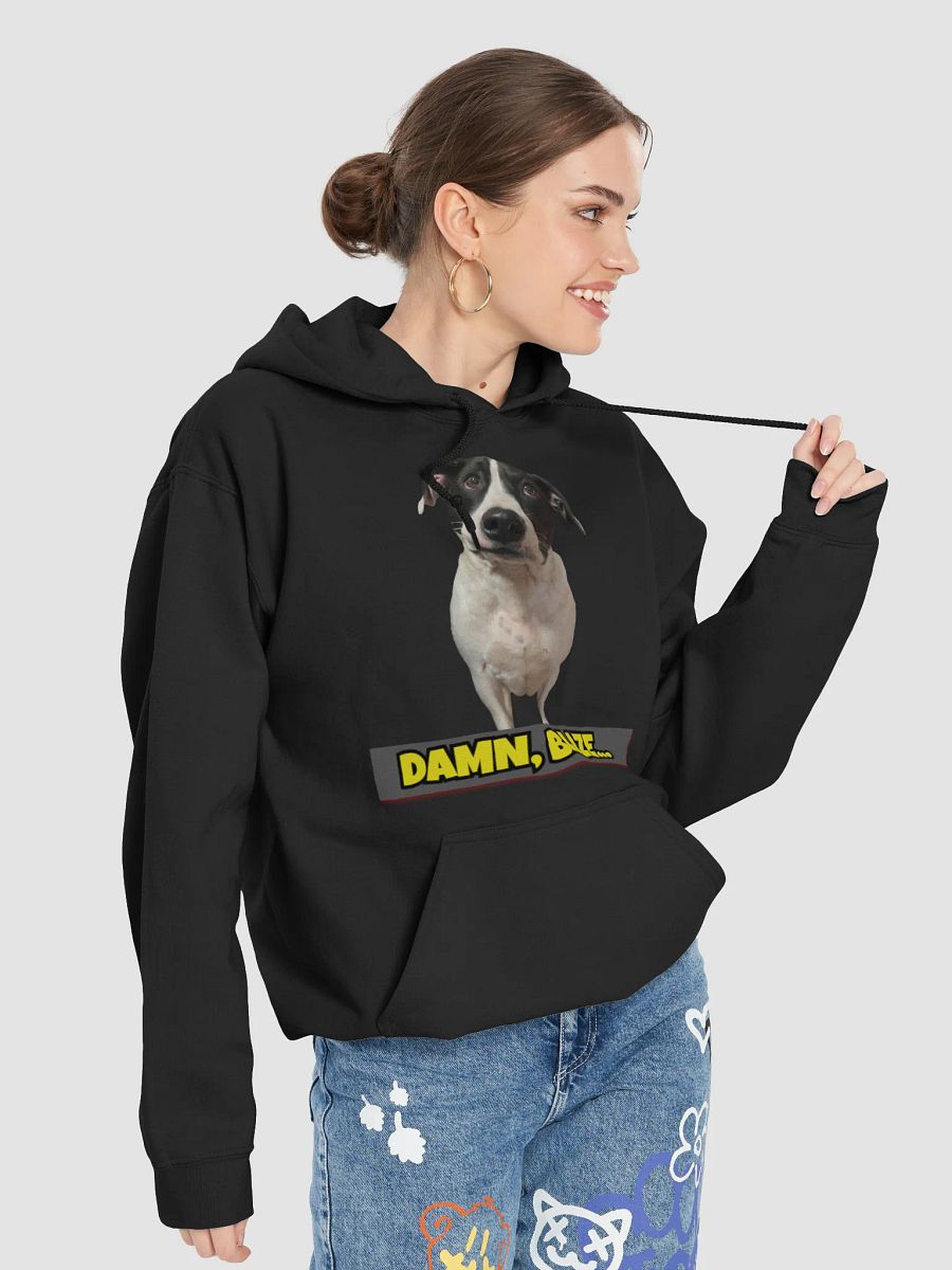 DAMN, BLAZE... Striped Swag Hoodie product image (9)
