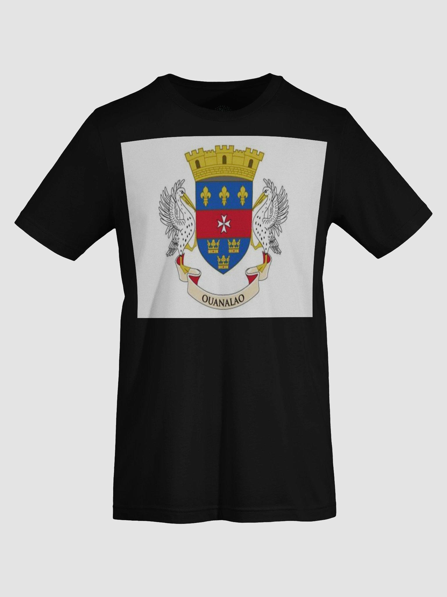 Exclusive St Barthelemy Unofficial Flag T-Shirt – Unisex Supersoft Comfort | TDS Music product image (7)