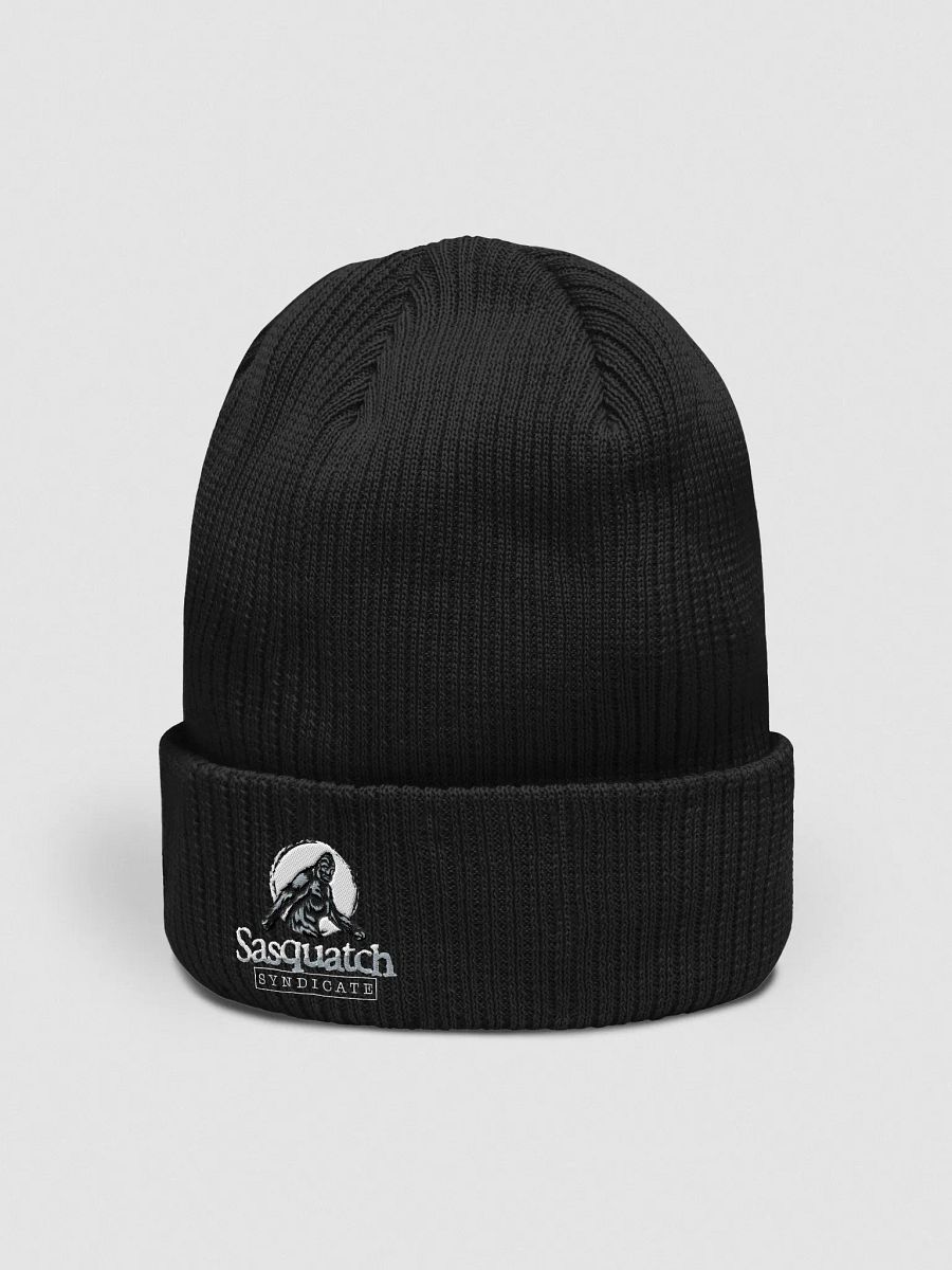 Stocking Cap product image (2)