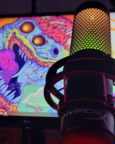 In love with this mic 😍 what microphone do you have for your setup? 

#zinguid #twitch #streamer #streaming #stream #gaming #...