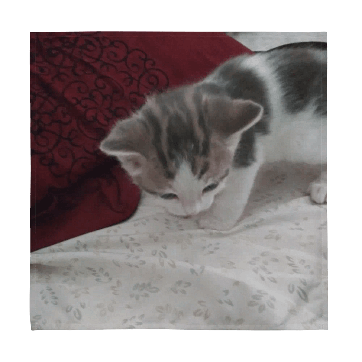 Cute Cats product image (1)
