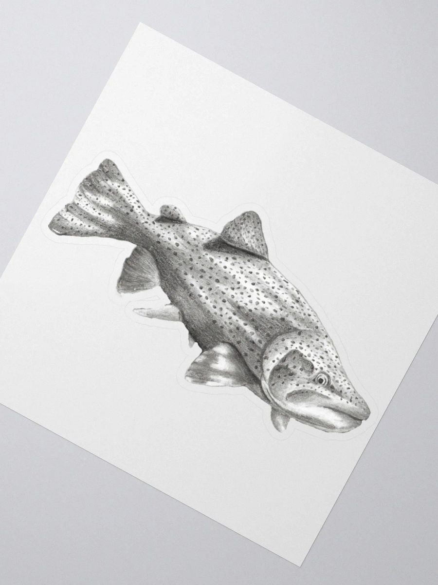 Trout Drawing Sticker product image (5)