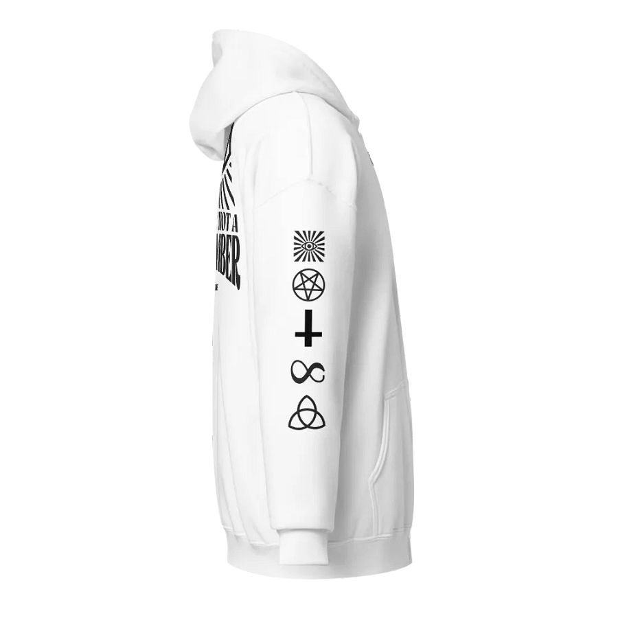 Definitely Not A Cult Member Hoodie (White) product image (4)