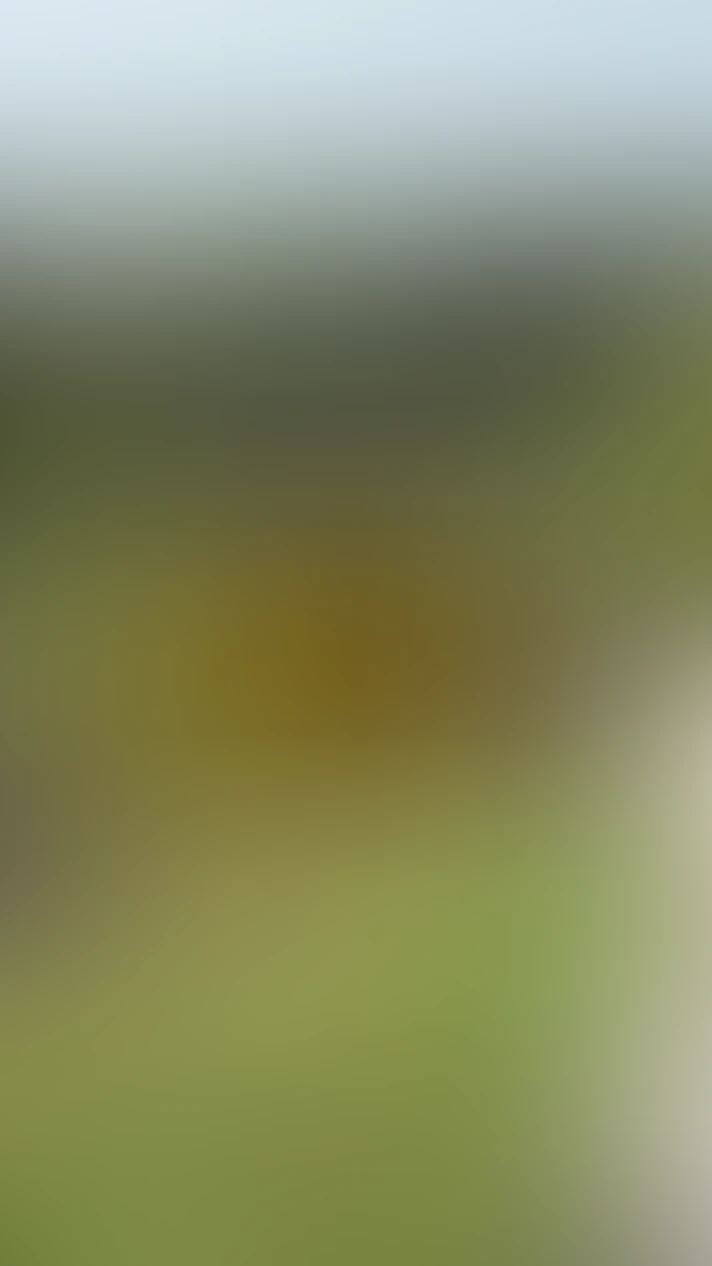 Video thumbnail background