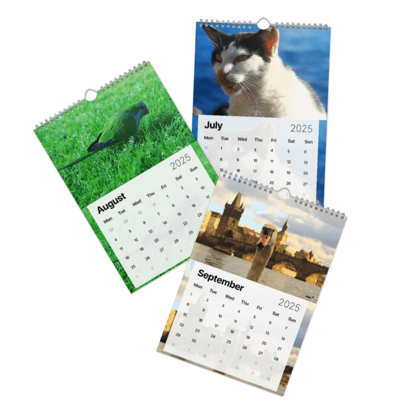 Calendar 2025 - Animals from around the world product image (4)