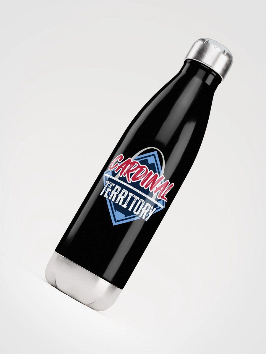 Stainless Steel Water Bottle product image (4)