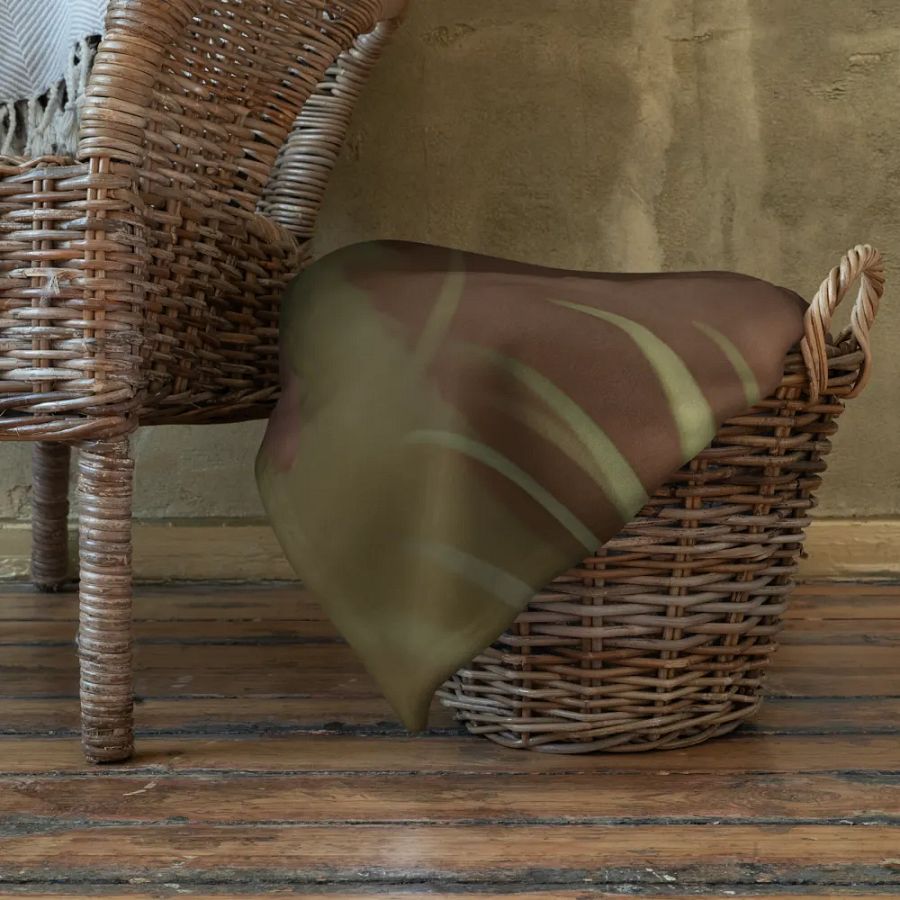 Endangered Species - Mexico - White Tailed Deer Throw Blanket product image (11)