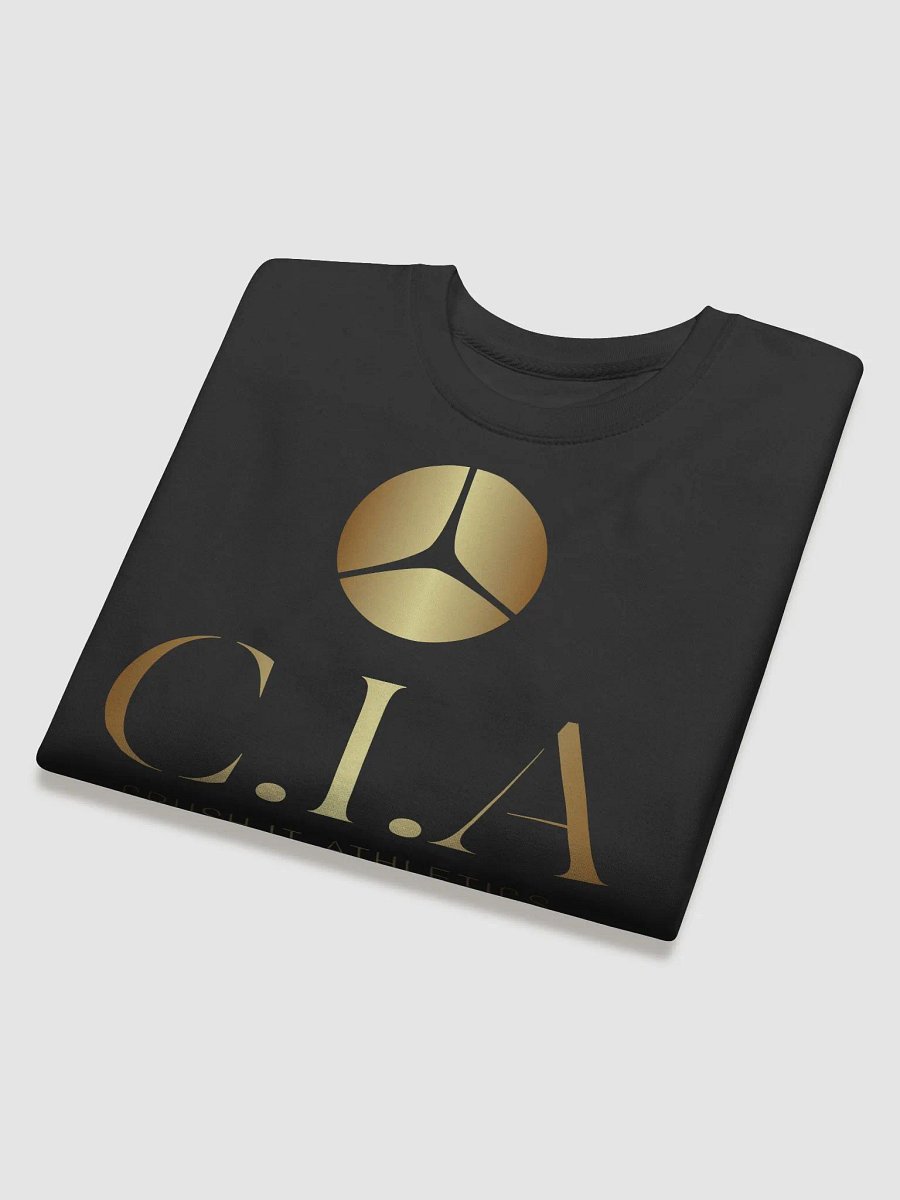 Midnight Black Premium Sweatshirt product image (16)