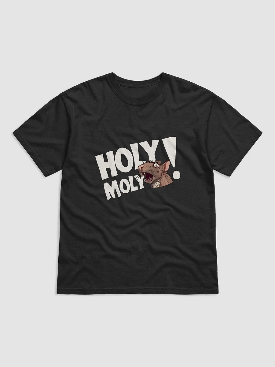 HOLY MOLY RAT T-SHIRT (dark heavyweight) product image (2)