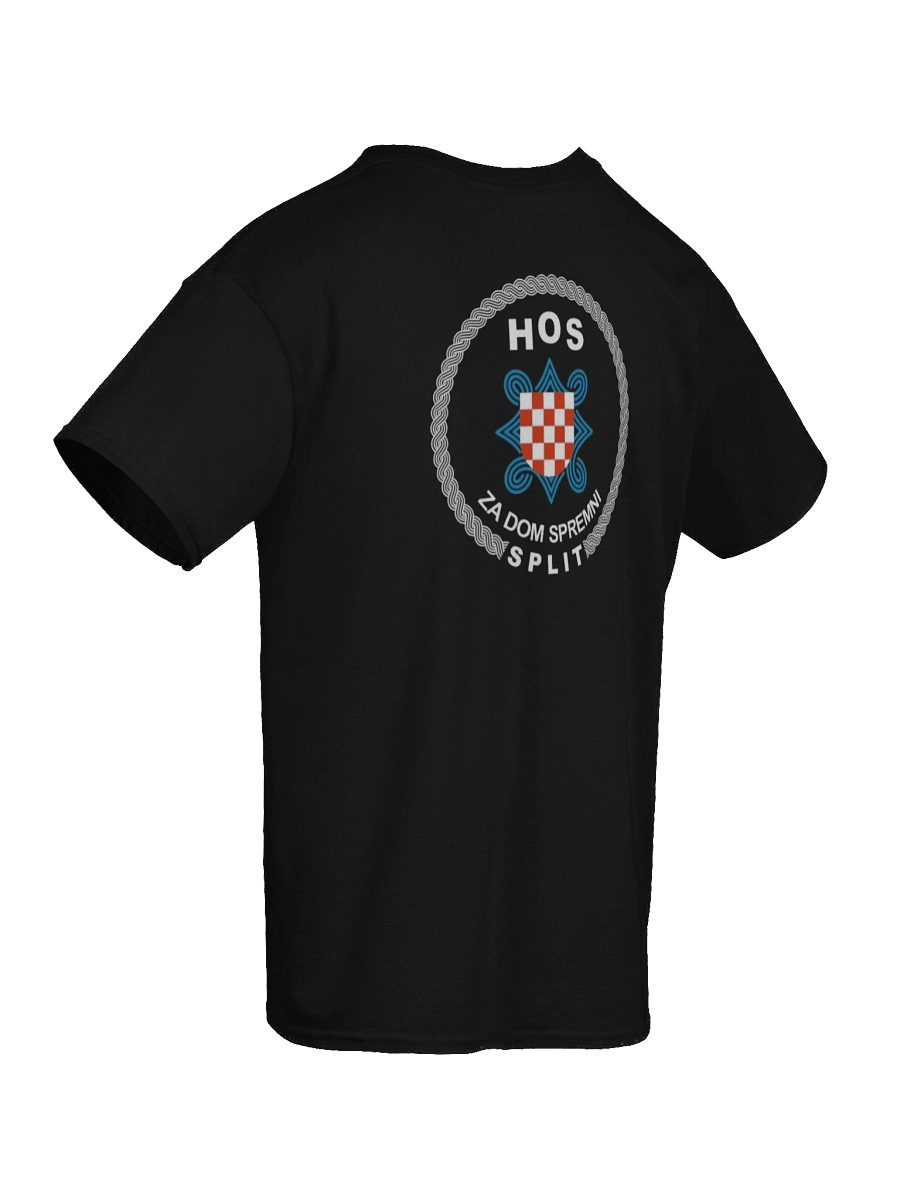 PNB Crown Logo Heavyweight Tee HOS Split product image (10)