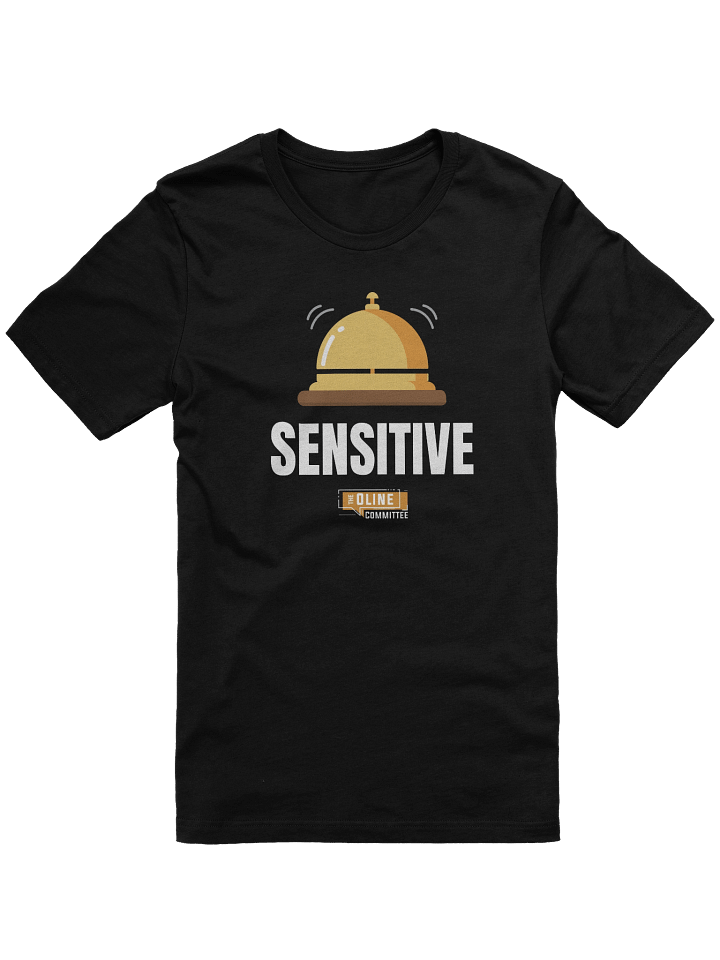 DING Sensitive OLine Committee t-shirts! product image (1)