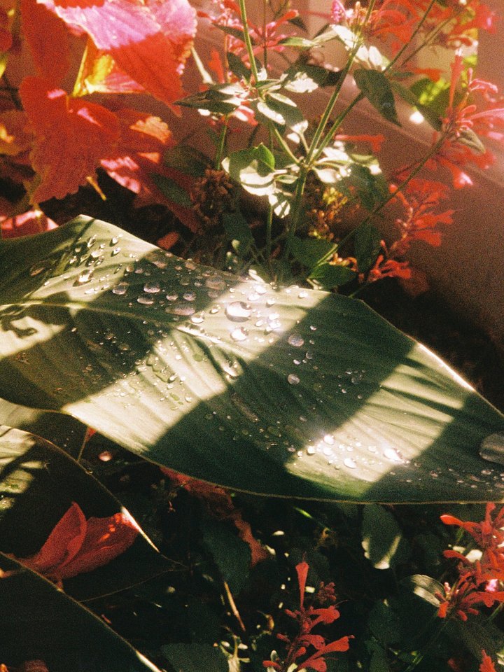 condensation product image (1)