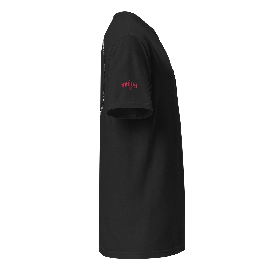 Rune Tee product image (3)