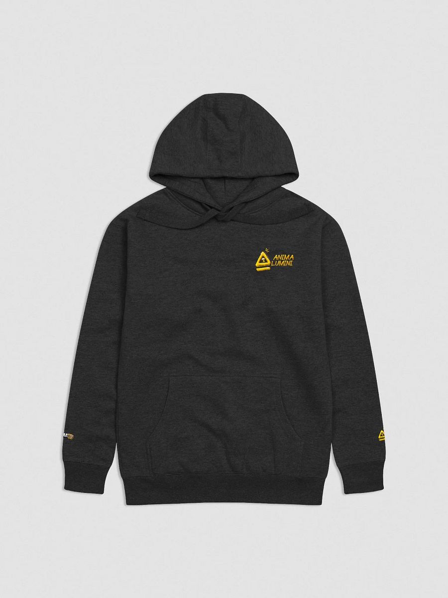 Embroidered Anima Alumini Text Hoodie! product image (3)