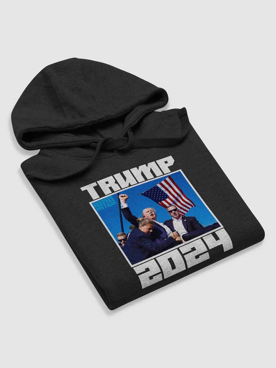 Trump 2024 Hoodie product image (20)