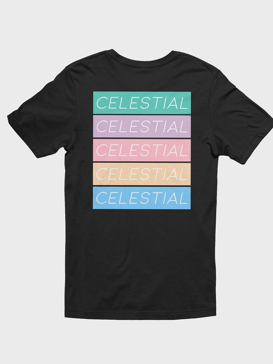 Celestial Apparel Color Block Tee product image (11)