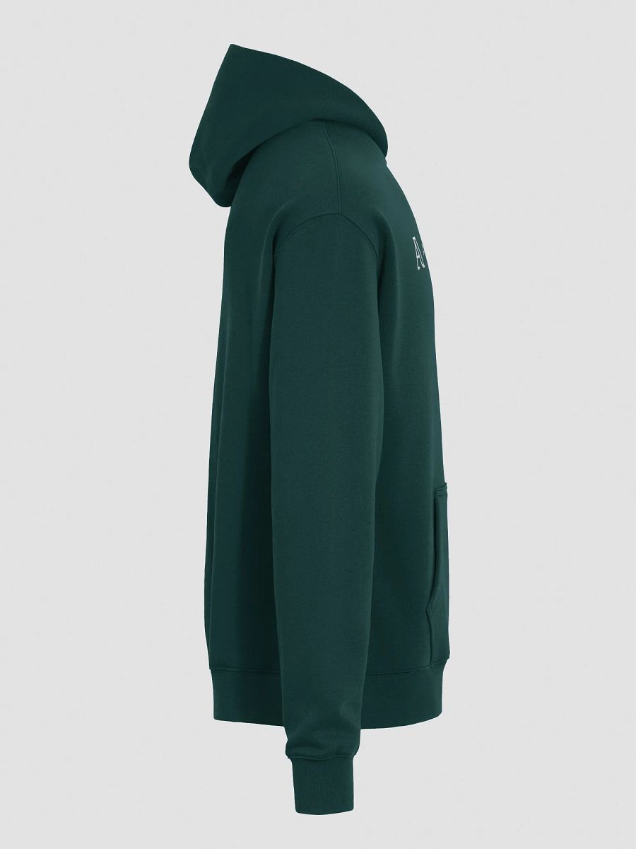 Author.Inc Premium Embroidered Hoodie product image (24)