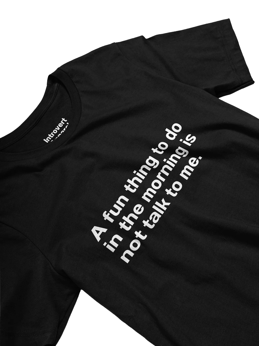 A fun thing to do in the morning is not talk to me. Unisex T-Shirt product image (23)