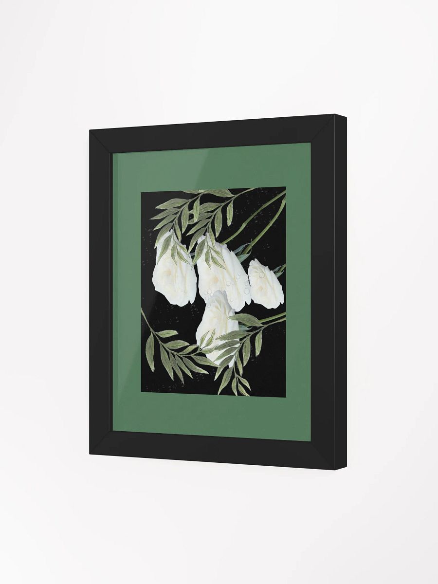 Ethereal White Rose Blossom Framed Poster product image (3)