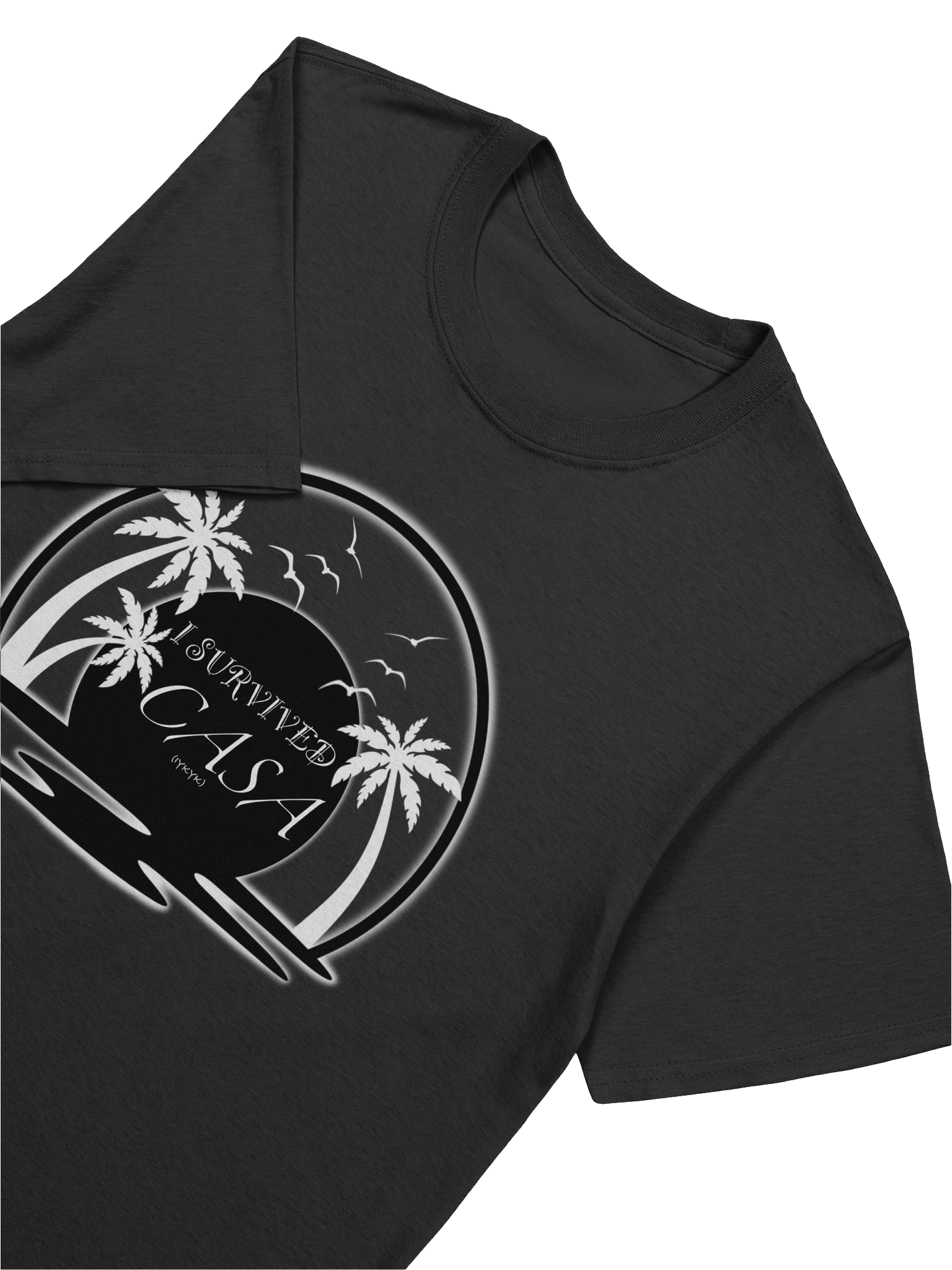 I Survived Casa Dark product image (3)