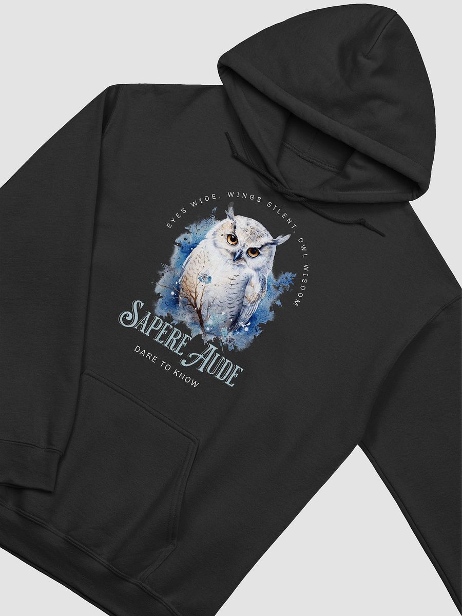 Sapere Aude Hoodie product image (6)