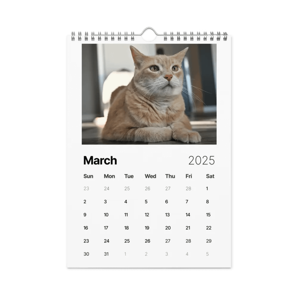 Noah and Friends 2025 Calendar product image (9)