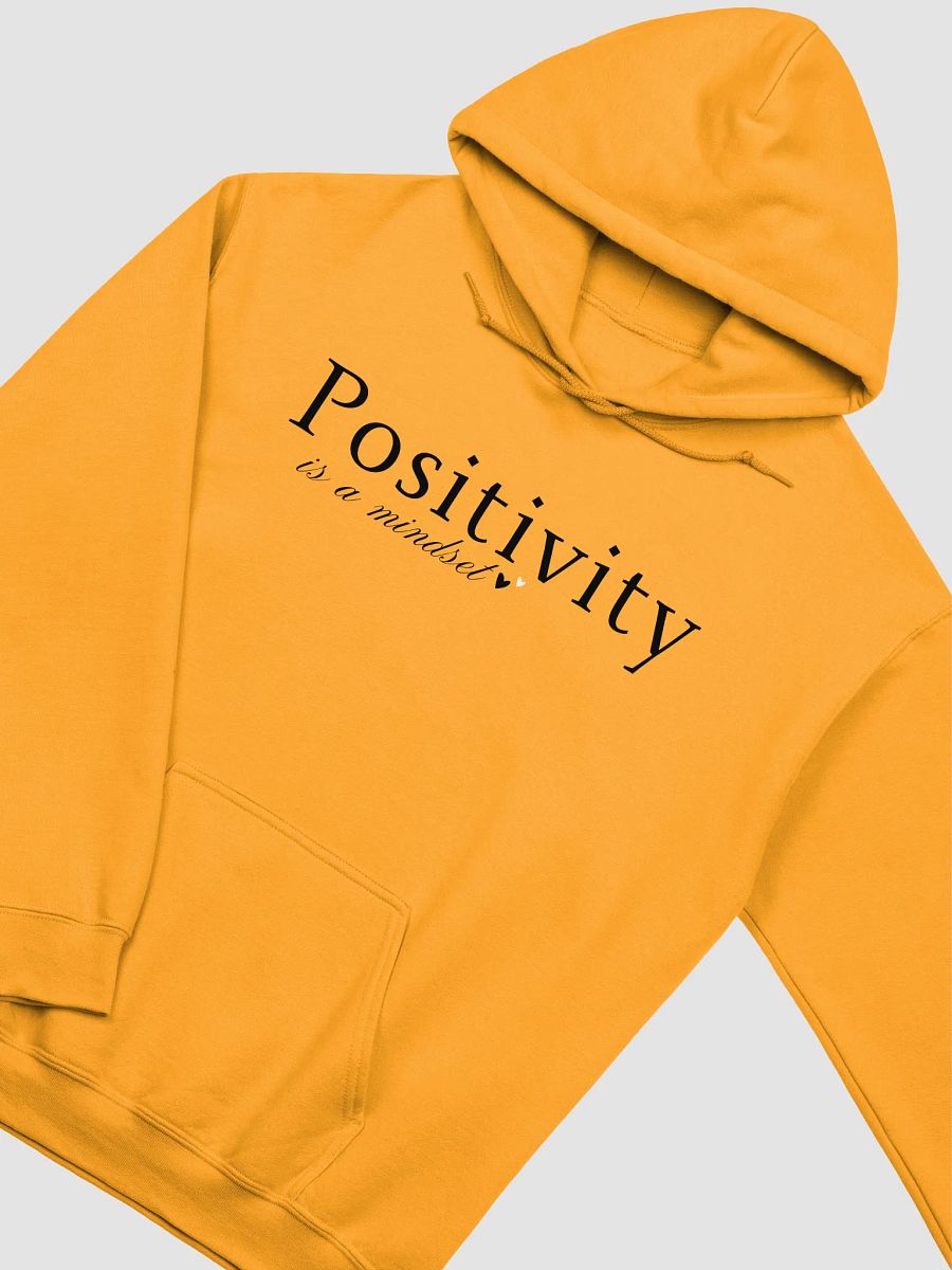 Positivity Is A Mindset Gildan Hoodie product image (4)