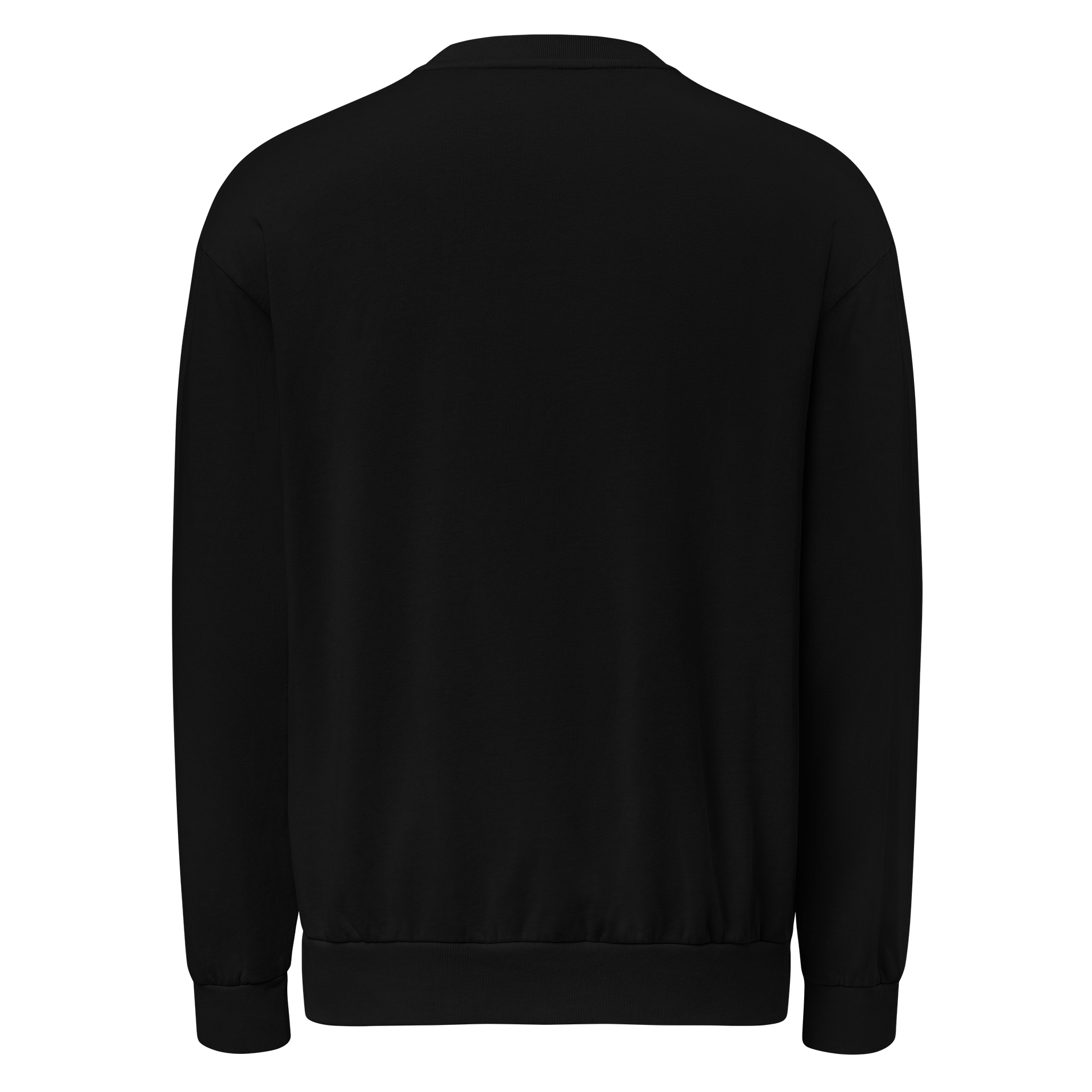 ASNT - Sweatshirt product image (4)
