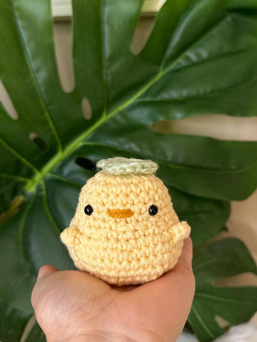 Jumbo Chacco [PRE-ORDER] product image (4)