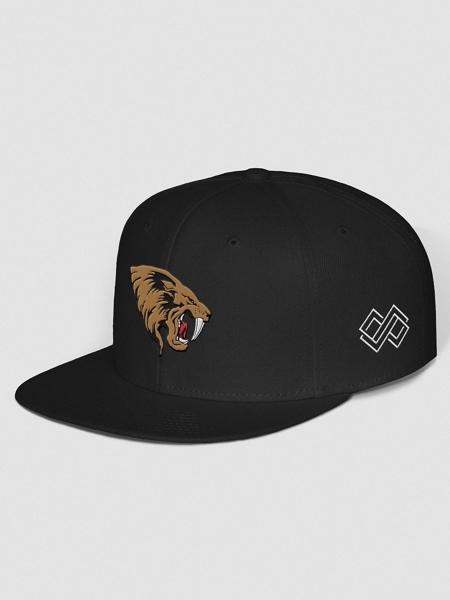 San Jose SaberCats Chosen Snapback Hat product image (12)