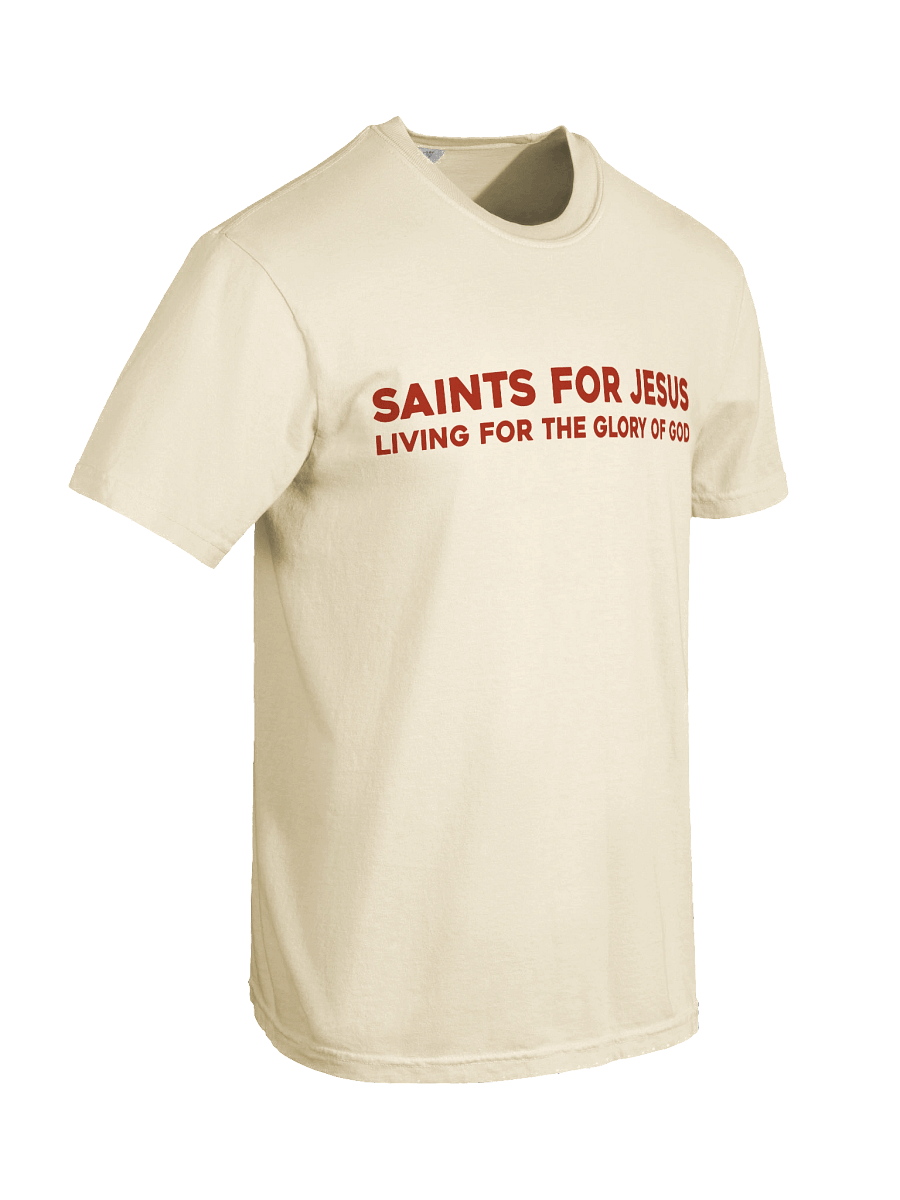Fruit of the Spirit T-Shirt product image (79)