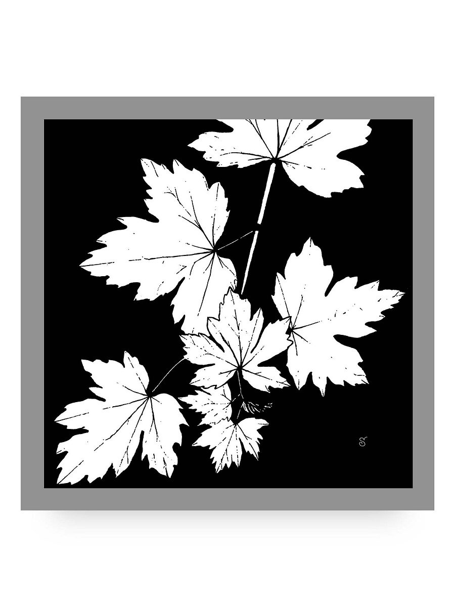 Leafy Silhouette Canvas Print - Grape Leaves Dark product image (11)