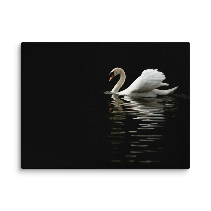 The Swans of St James product image (2)