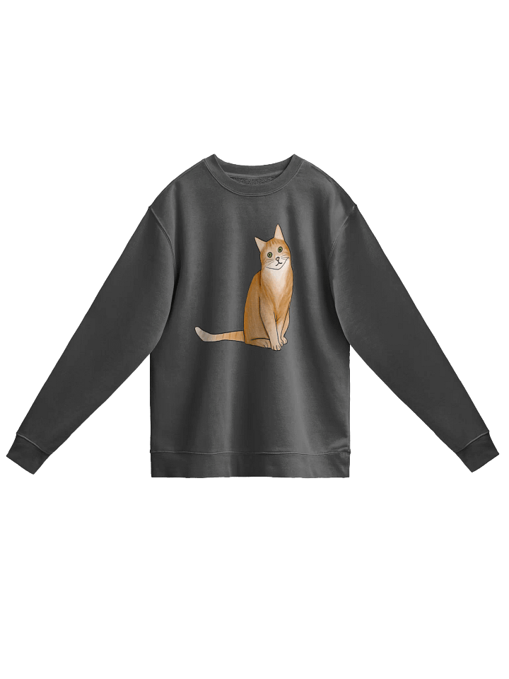Orange Cat Unisex Midweight Pigment Dyed Sweatshirt product image (1)