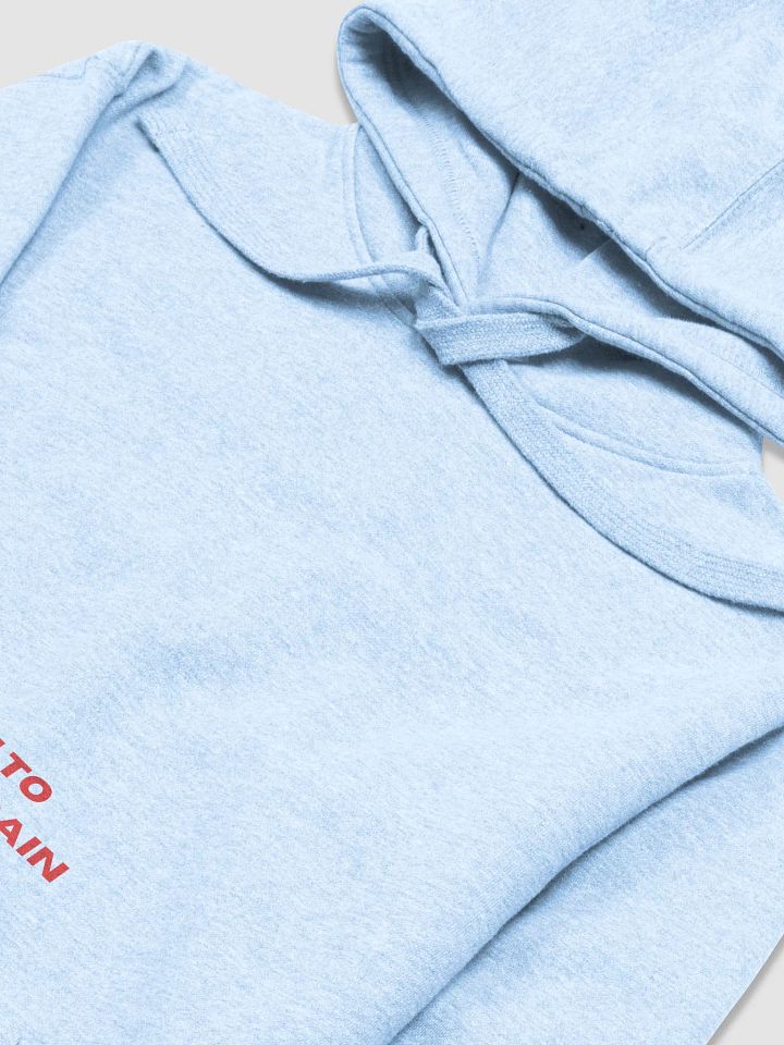 Determination & Resilience Hoodie product image (2)