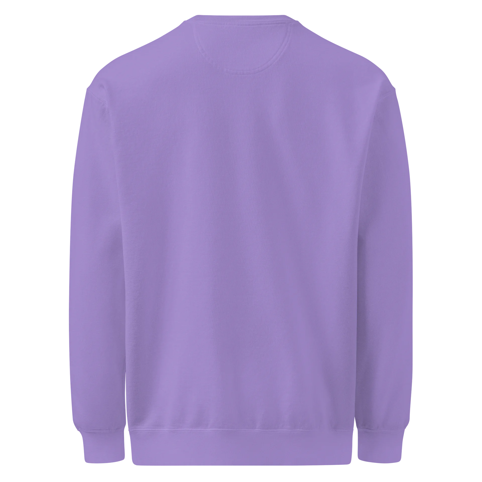 LSH Comfort Sweatshirt product image (30)