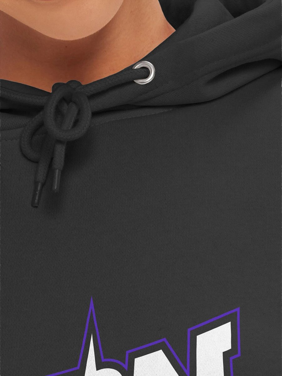 PDN Logo Hoodie by Lane Seven product image (7)