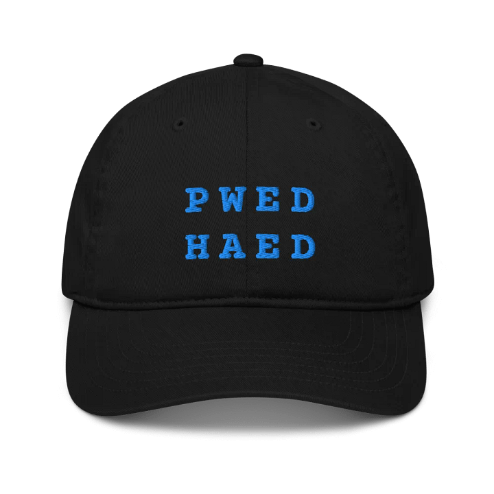 BED HEAD in steno - Organic Cotton Dad Cap (Blue) product image (7)